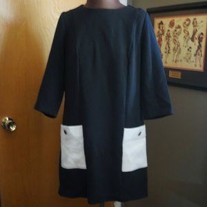 Classic Loft Shift Dress with Pockets